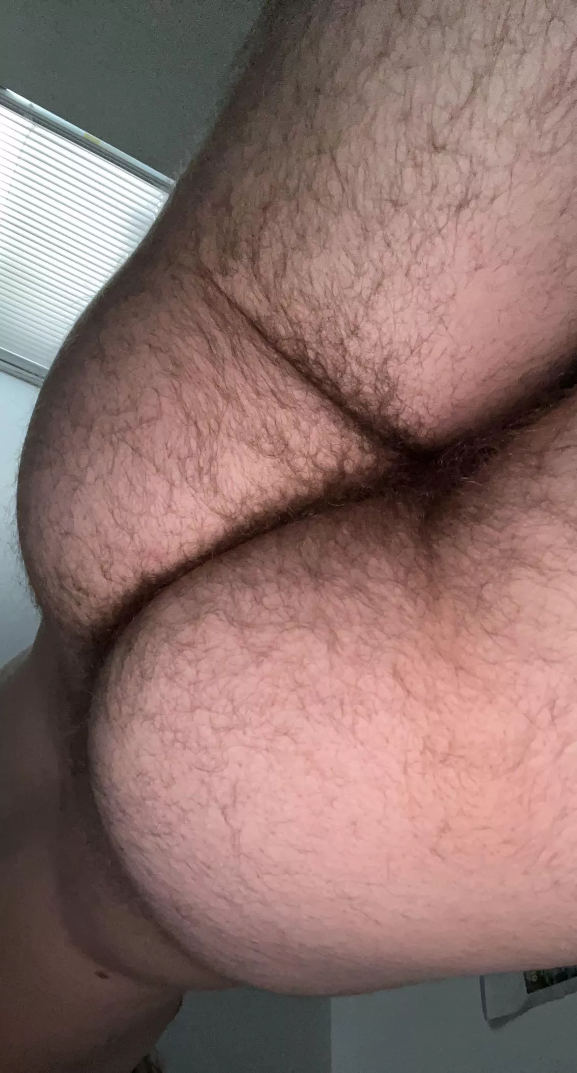20 year old hairy ass!