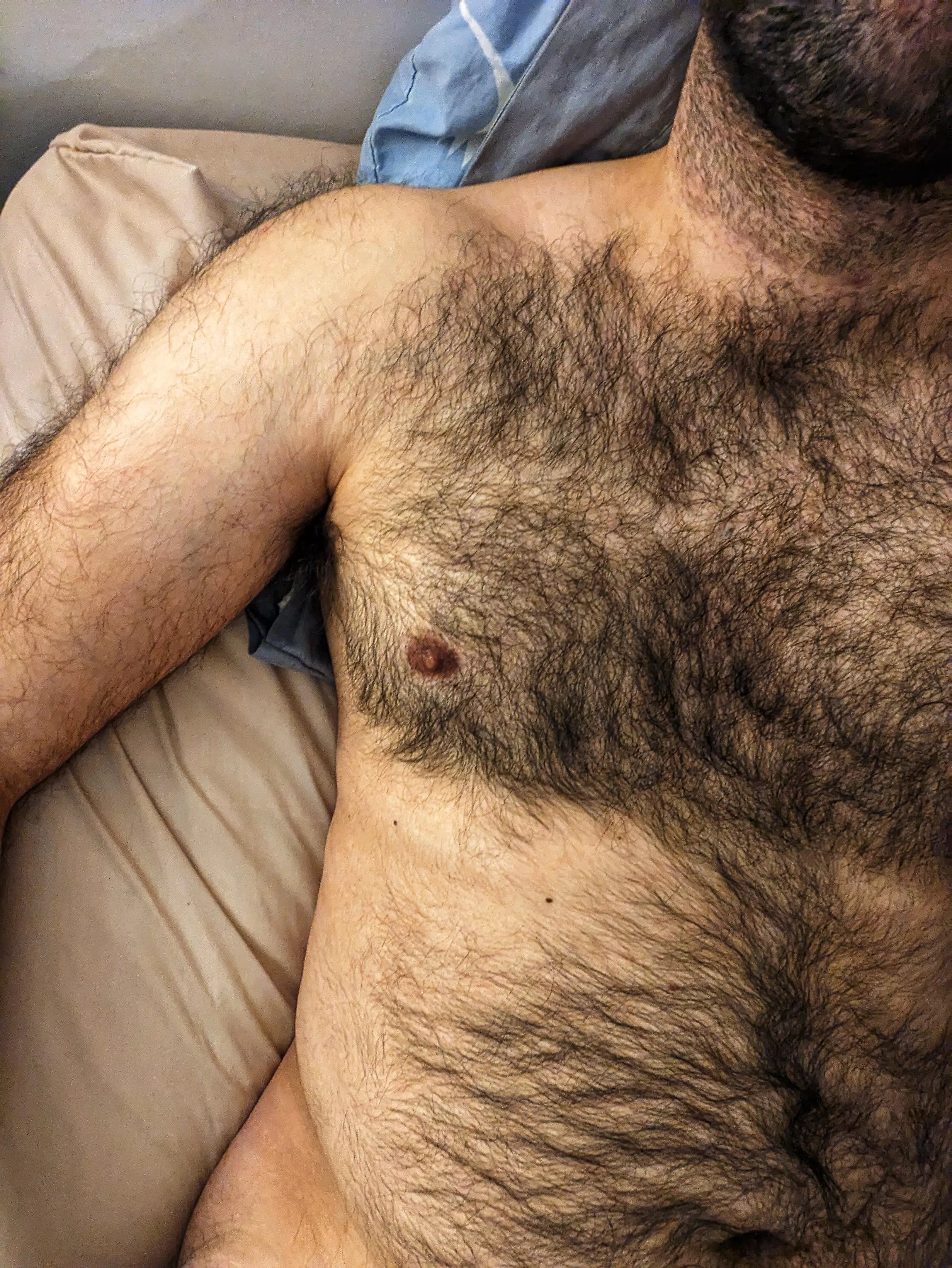 29 for other hairy guys same age and older+ add: aguy_3