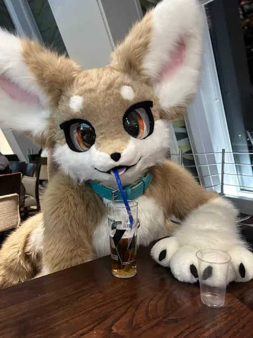 Another drink please bartender!