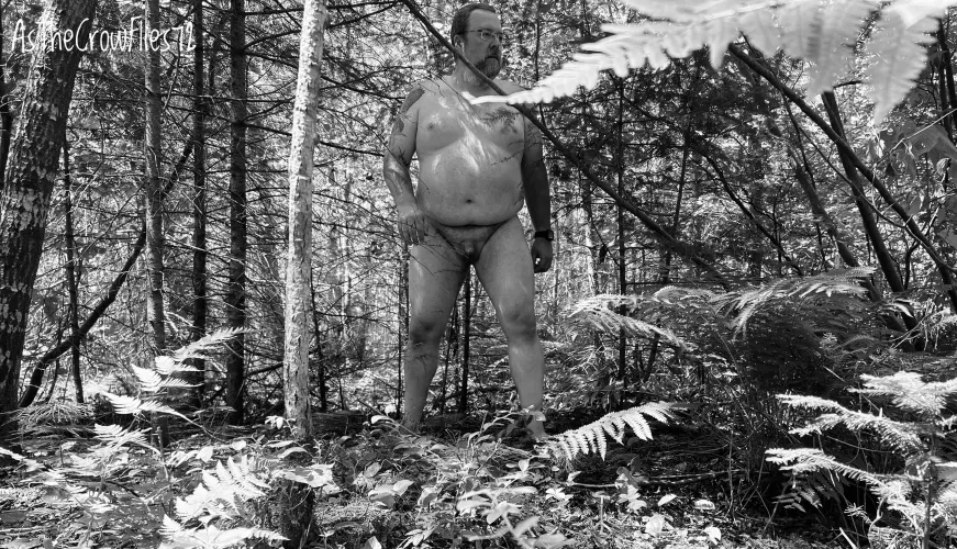 Best way to walk in the woods