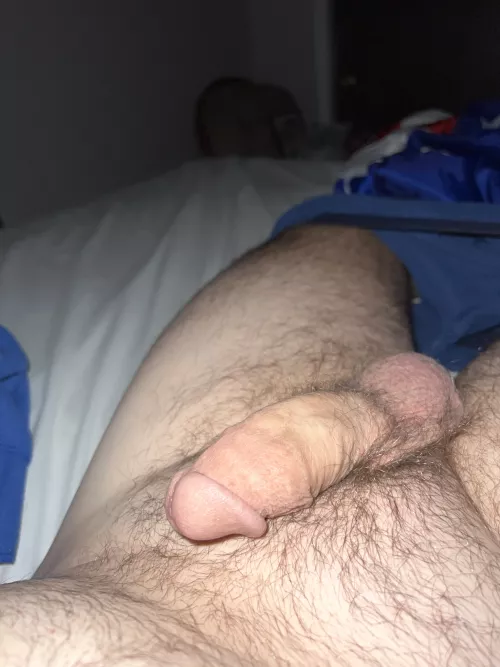 Can you help with my softie?