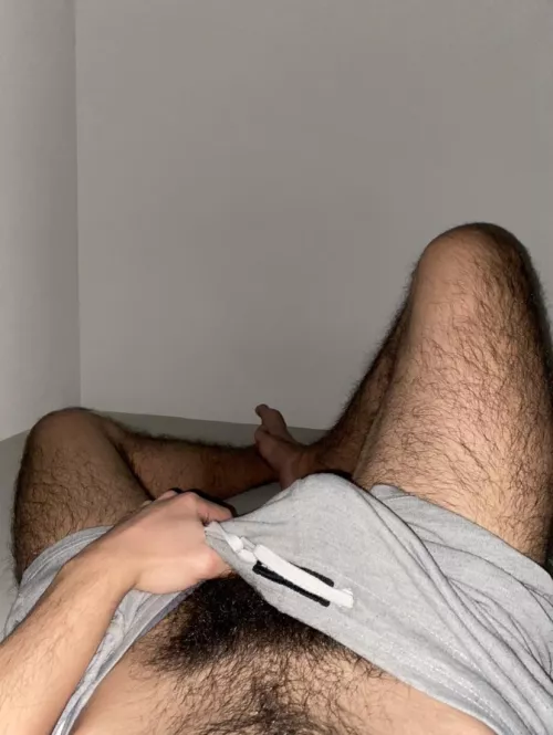 come give it a sniff boy