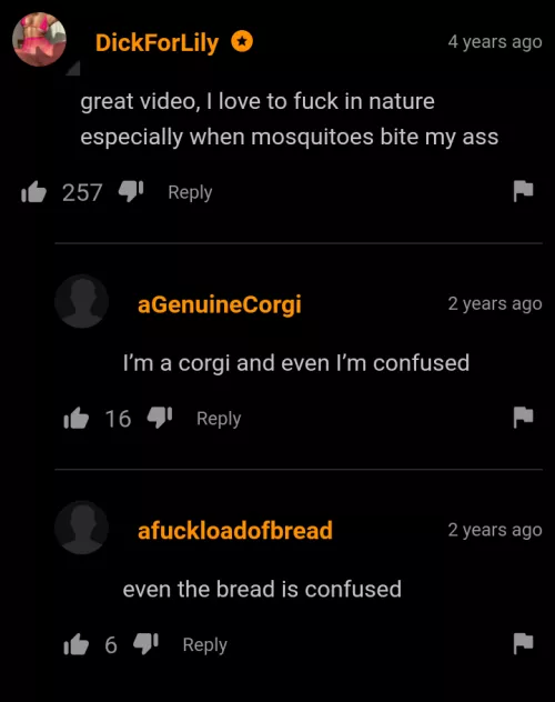 even a mapleve is confused