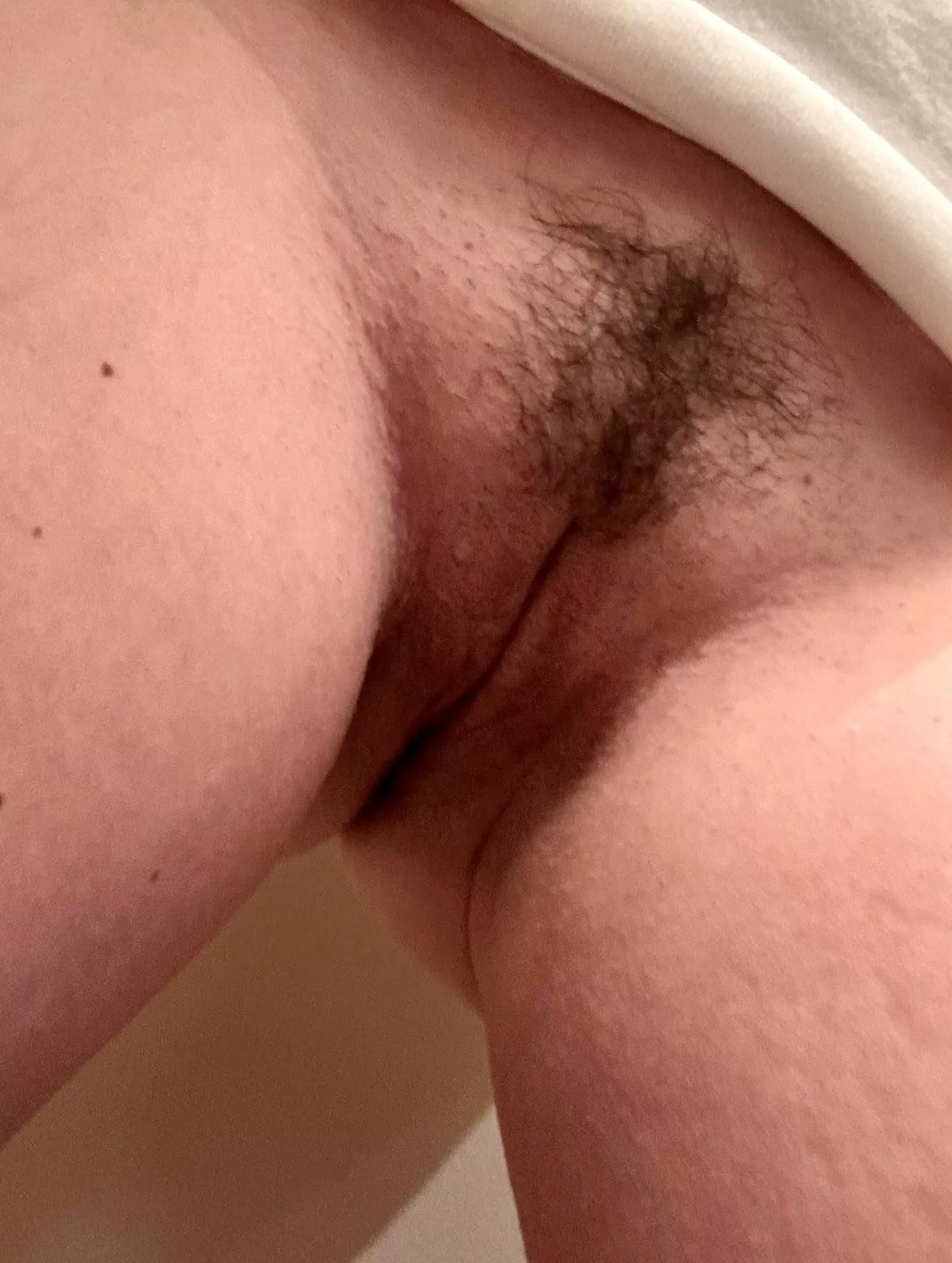 Hope you done mind a little bush on a tight innie