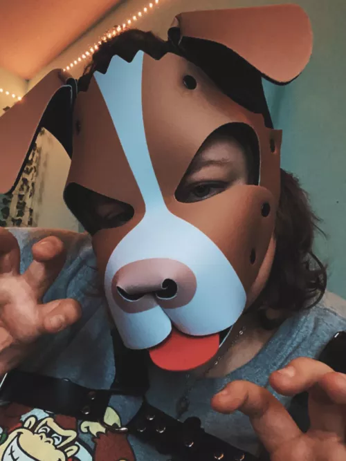 I know I already posted today but I feel so cute 🥰🐶🐾