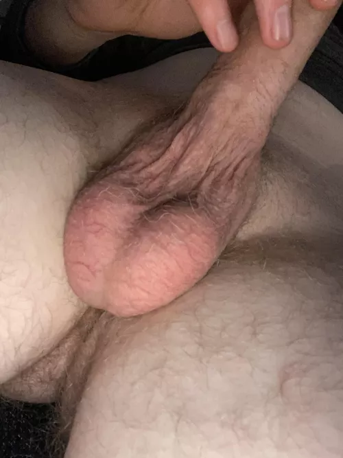 I want YOU 🫵🏻 to lick my balls 👅