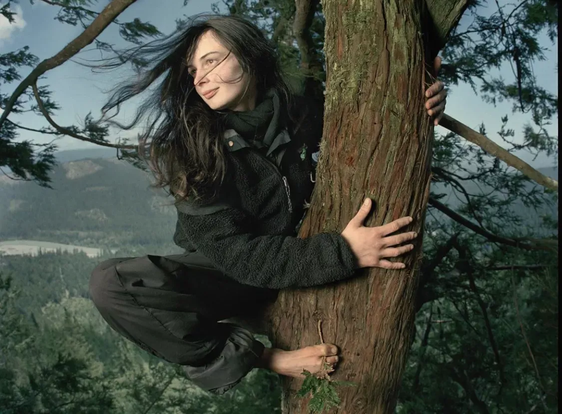 It’s been 23 years since environmental activist Julia “Butterfly” Hill climbed down from a giant 1,000-year-old California redwood tree named Luna, after calling it home for two years