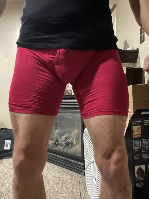 Legs have gains… (M)