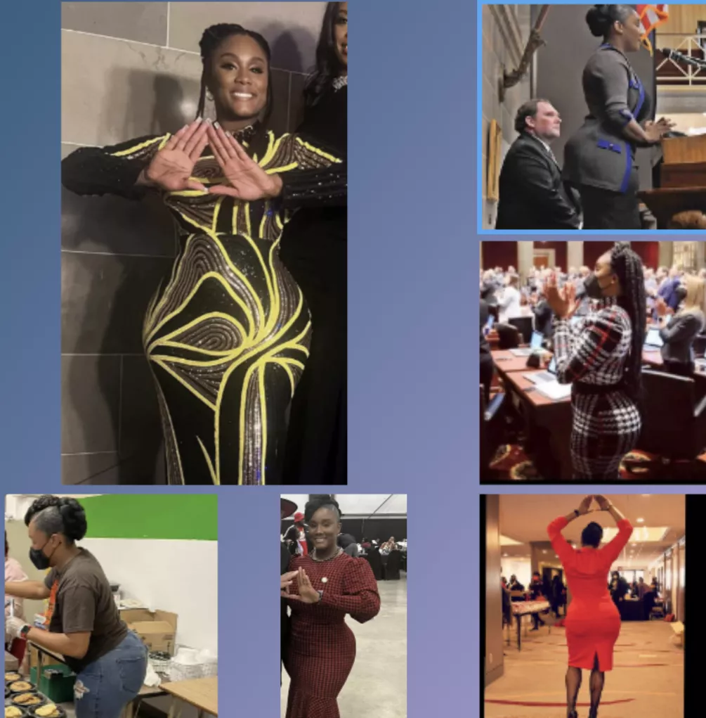 missouri state representative raychel proudie