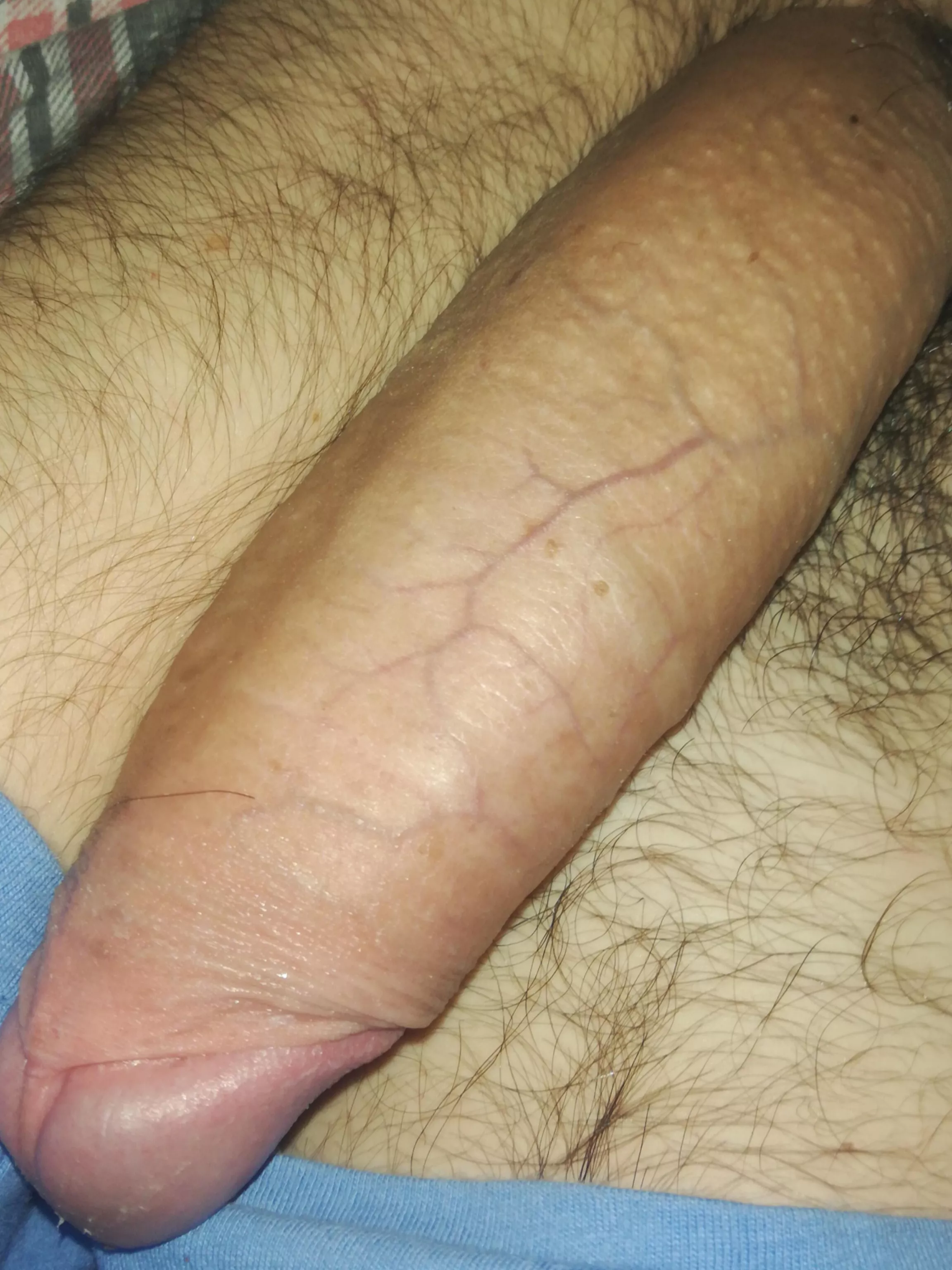 My huge cock