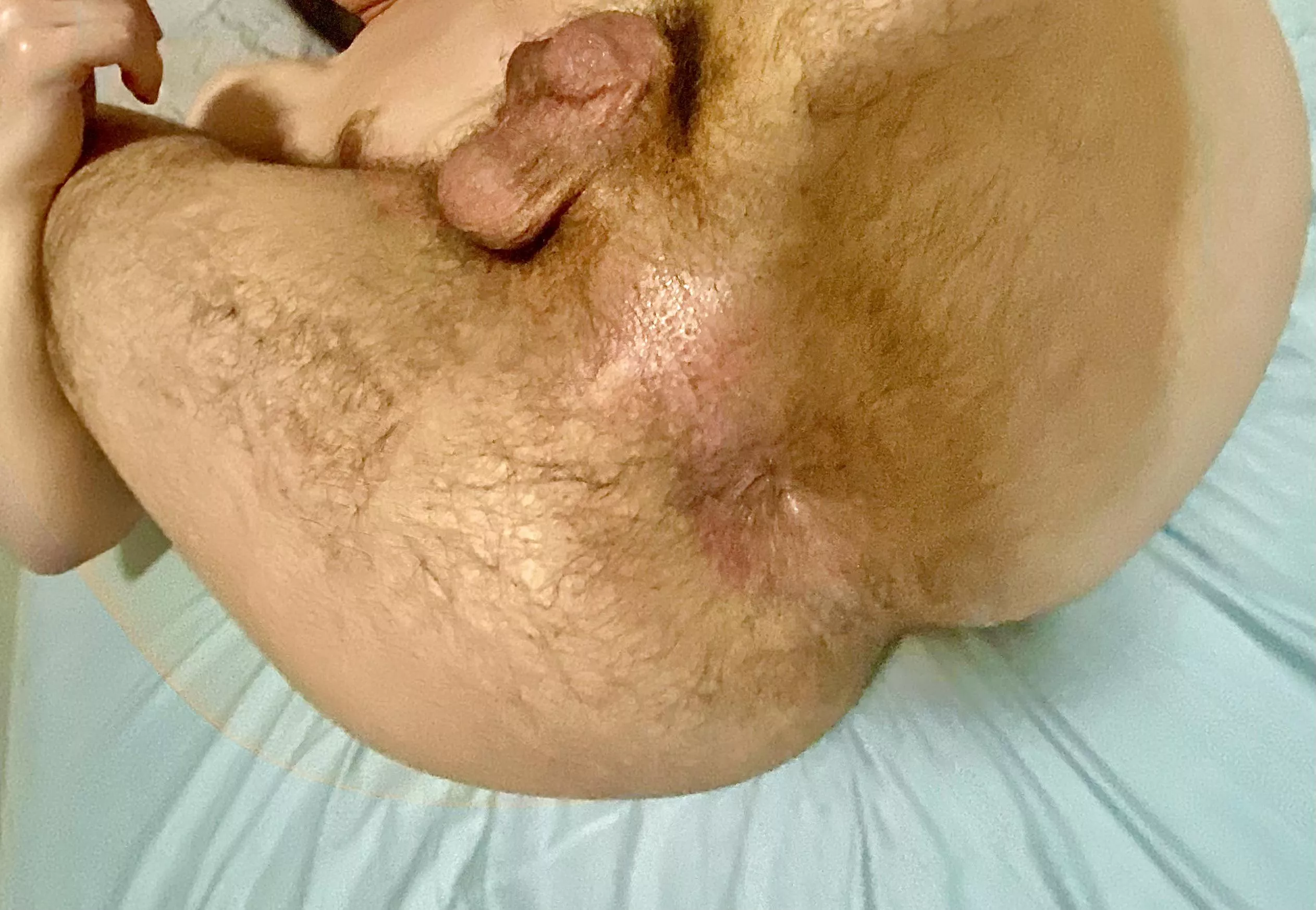 need someone’s cock in my hairy hole