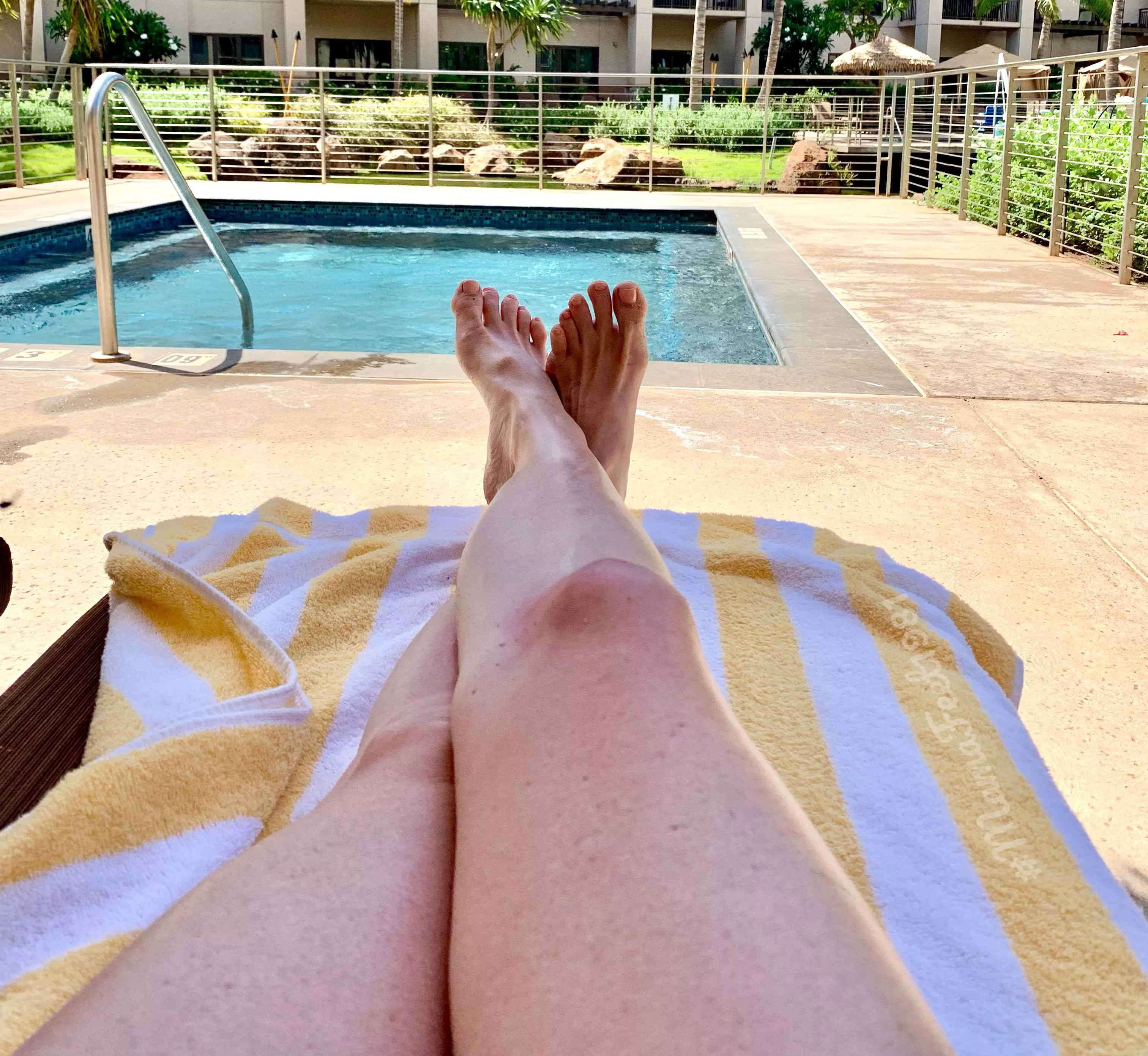 Pink tips pale stems