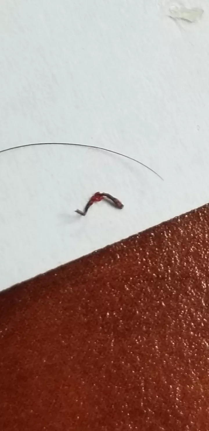 Pulled this mega ingrown hair out of my beard. Normal hair for scale