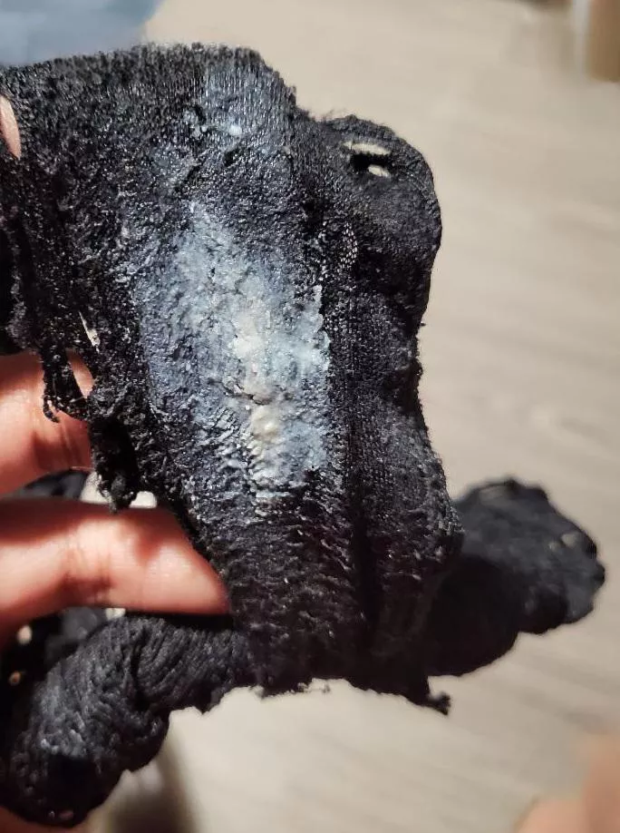 Was super horny today