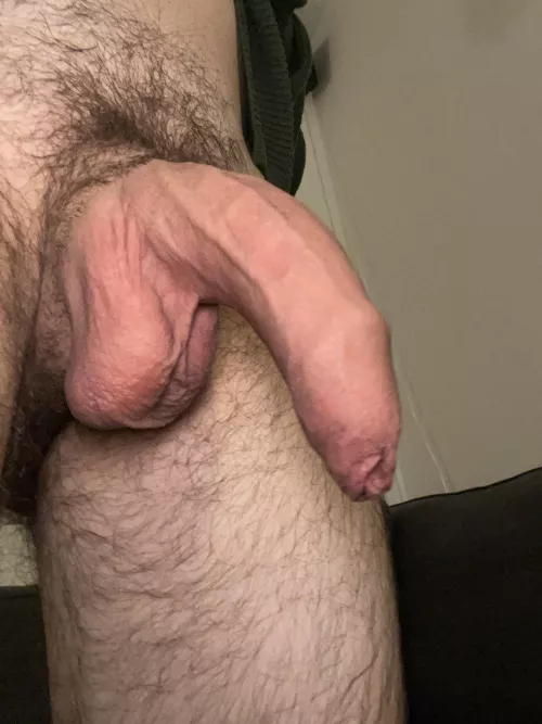 Which would you like first?