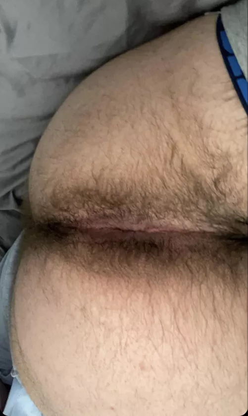 Who likes my hairy hole?