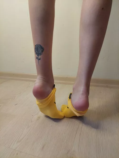 Would you sniff my socks?