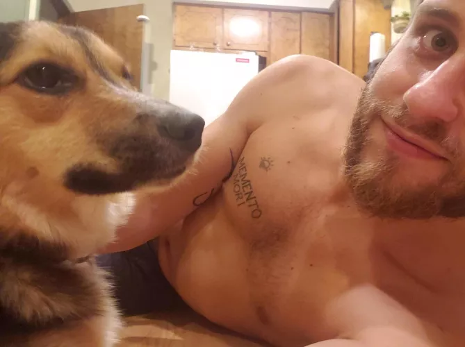 Your modest Lebanese boyfriend.