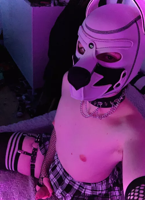 18 femboi pup needs new gear what should I get ?