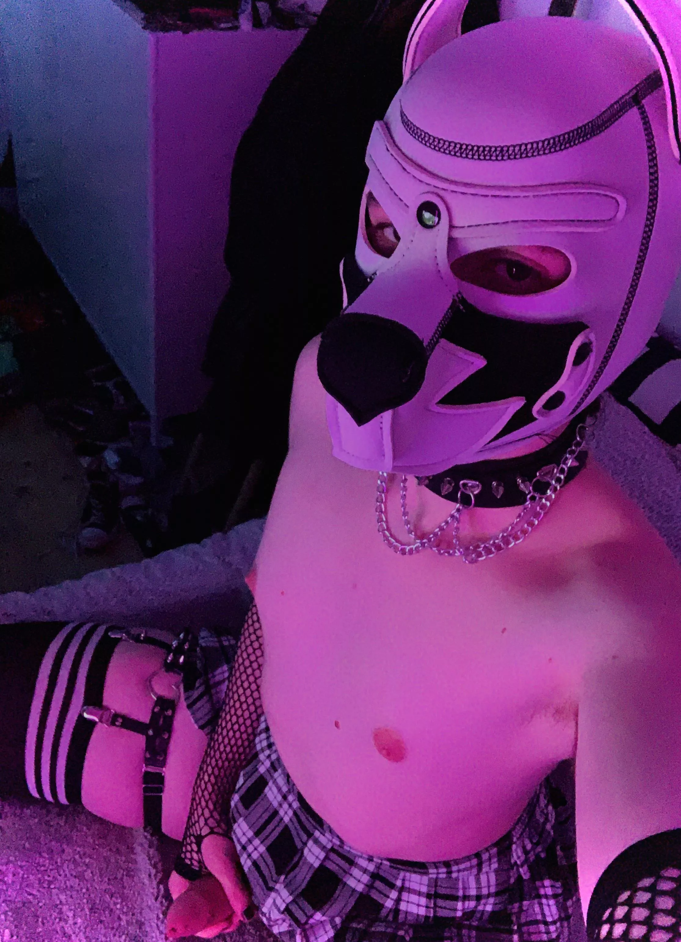 18 femboi pup needs new gear what should I get ?