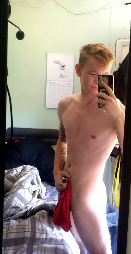 23 Toned Hung Blonde Twink. Looking for fit muscle dude to have fun with. Show face and body when add @danny_racer2