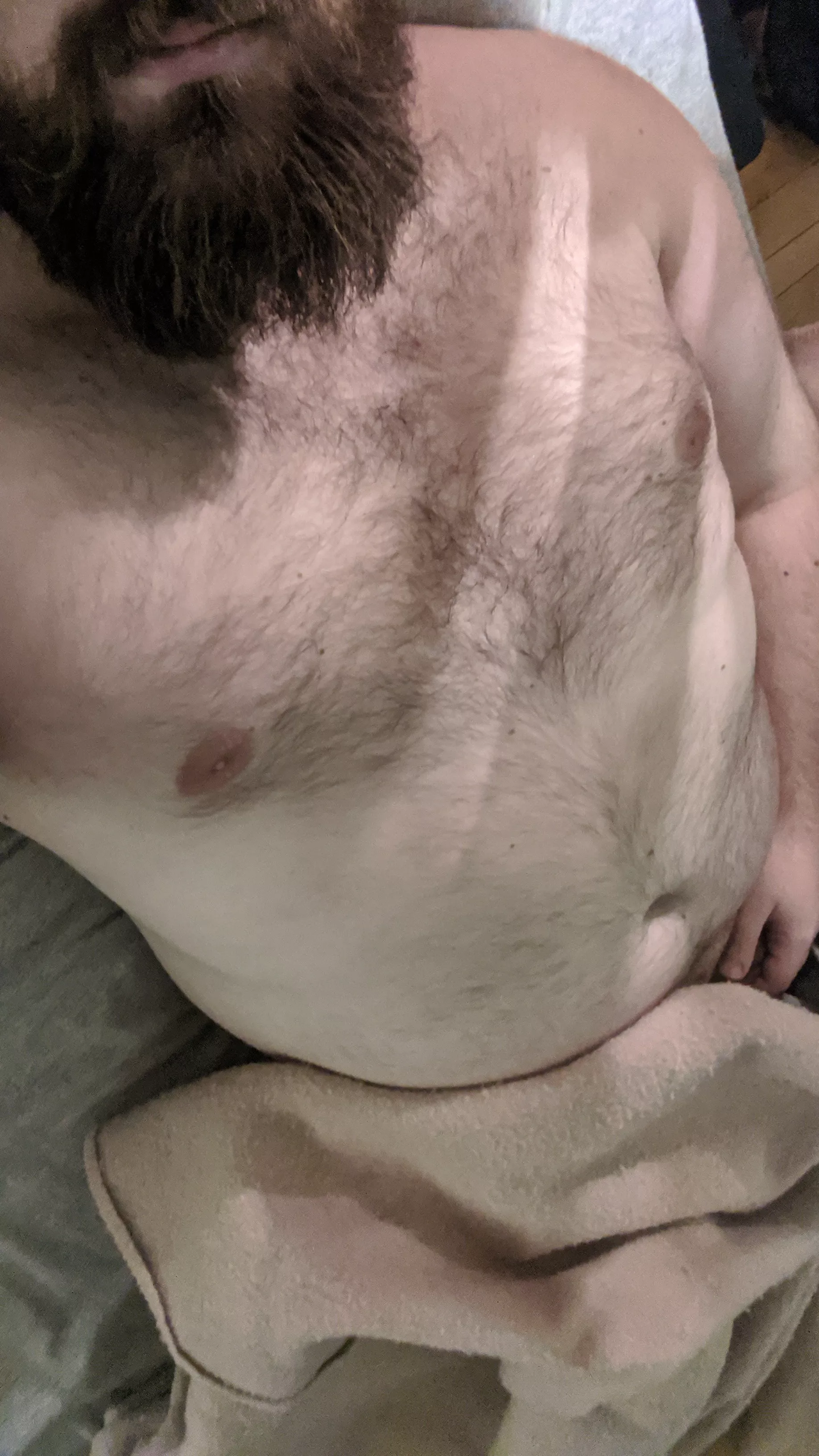 28 big fat bear, SC junutts