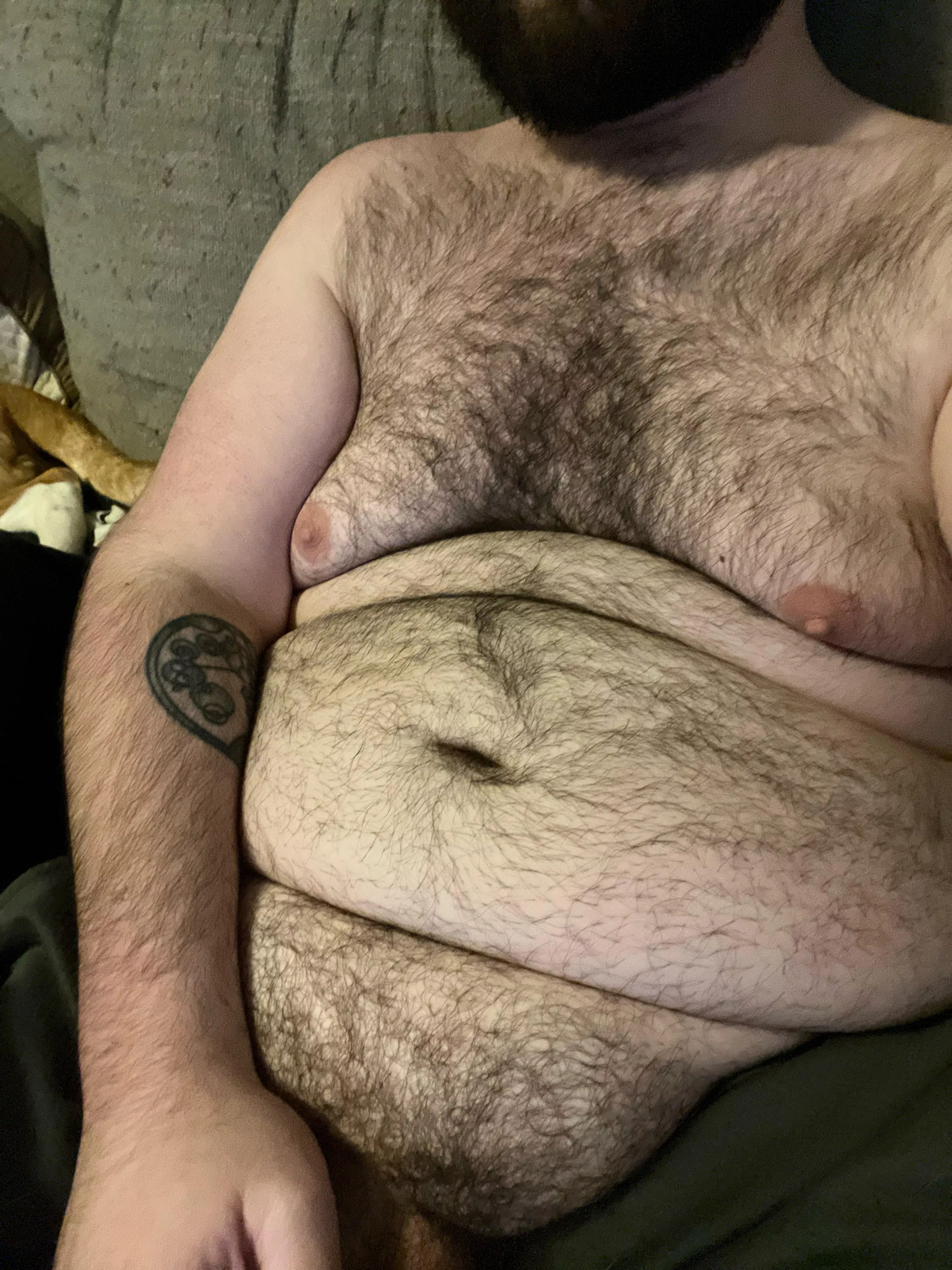 32 hairy chub lf Twink SC: sardoniccub