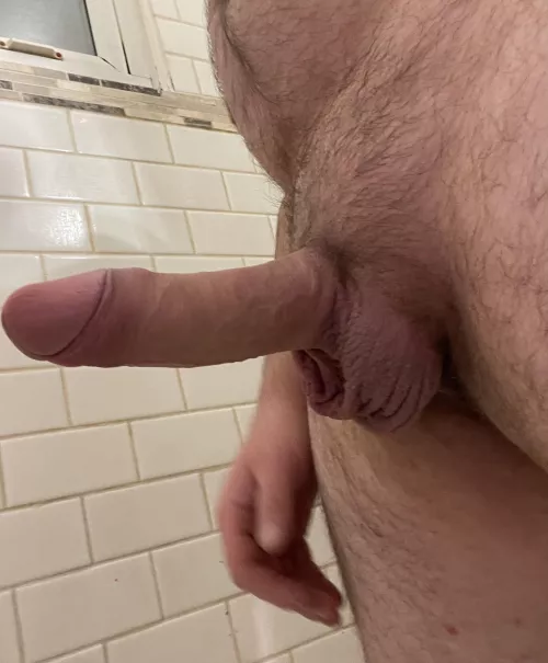 [36] I’m new to all this… be kind.