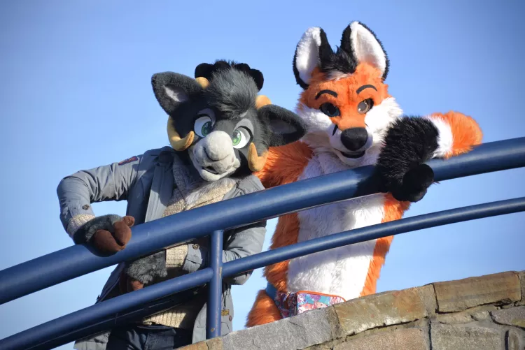 a tale of two tails. happy fursuit friday! (@auburnthegoat)