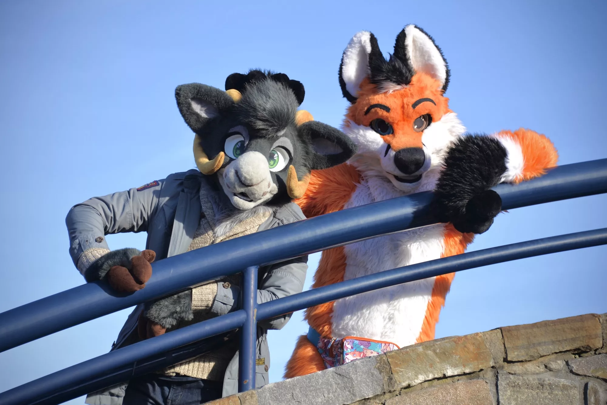 a tale of two tails. happy fursuit friday! (@auburnthegoat)