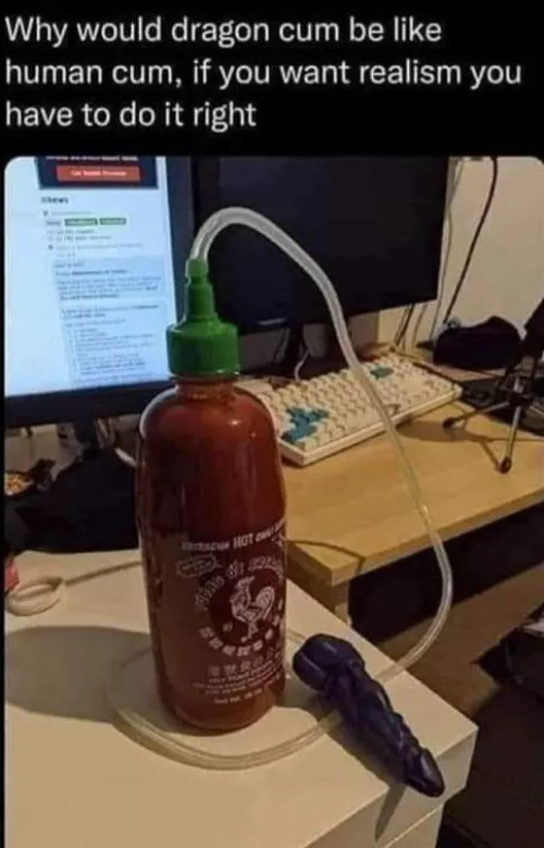 ARE YOU BRAVE ENOUGH DRAGON RIDERS