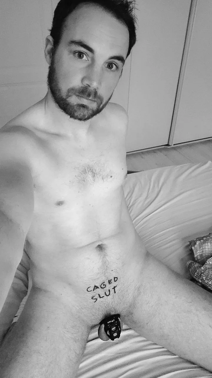 caged slut