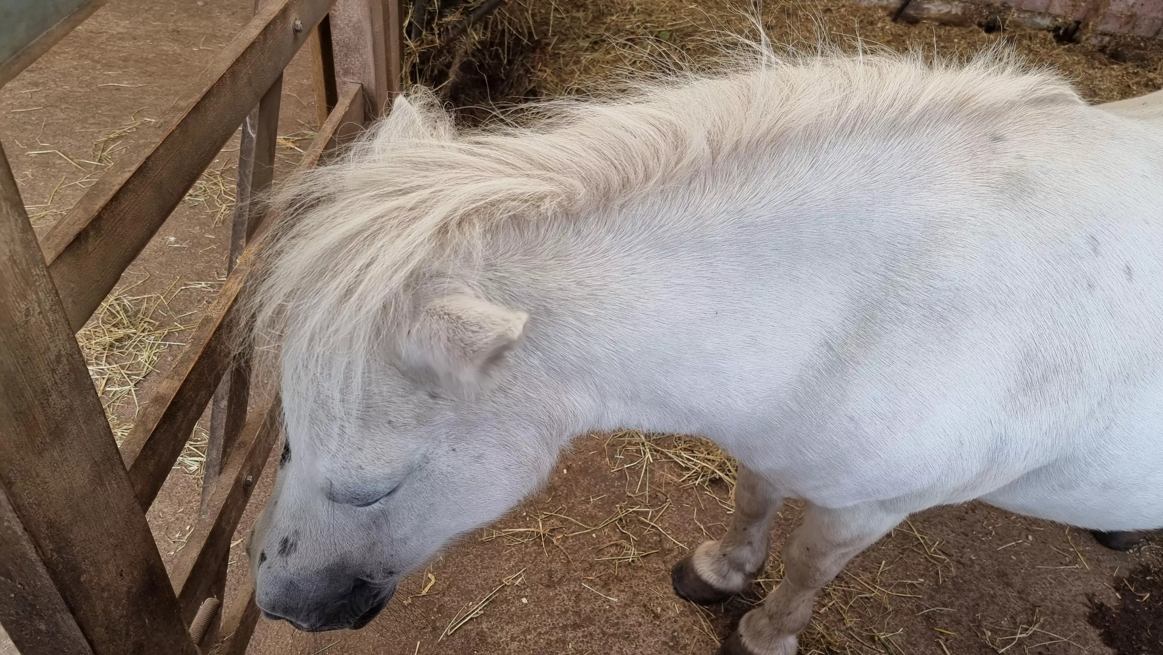 Can anyone help with me with dmz