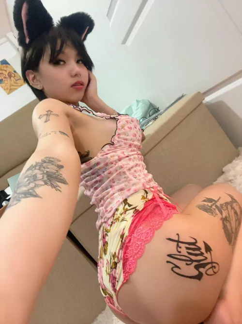 Do you wanna see my tail? Its on the front