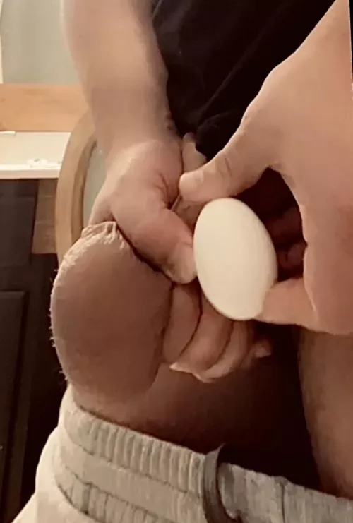 Egg comparison