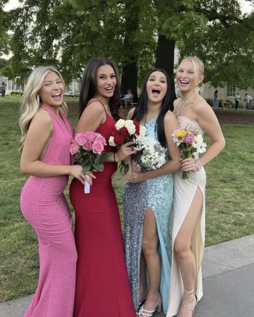 How would you rank them?