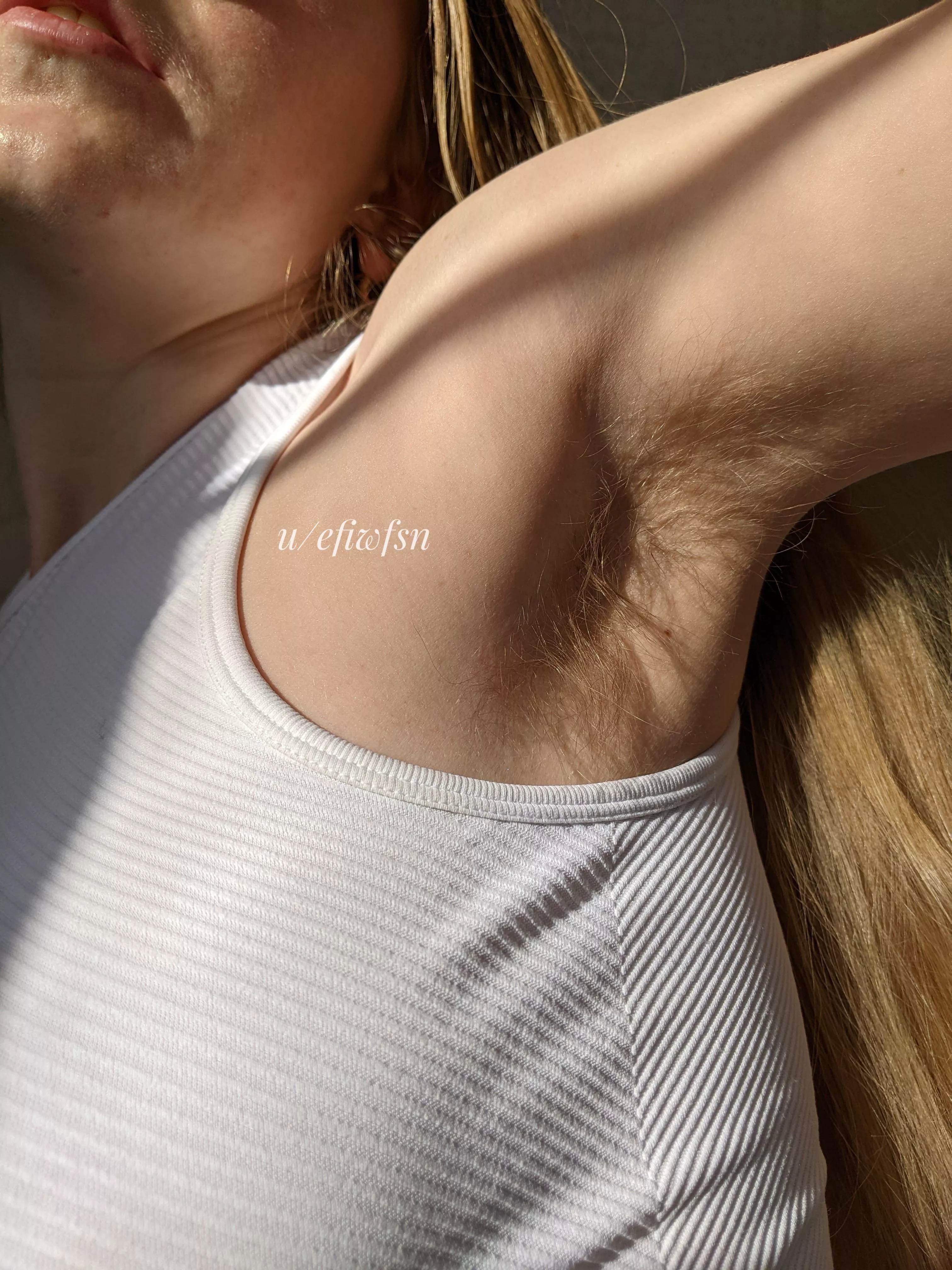 I love the way my fuzzy pits look in the sun