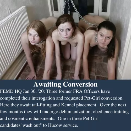 Inside the Empire Pt 15