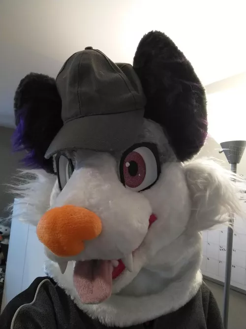 I've got a lovely hat