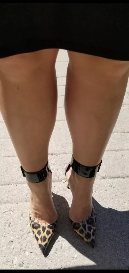 Leopard is my favorite!