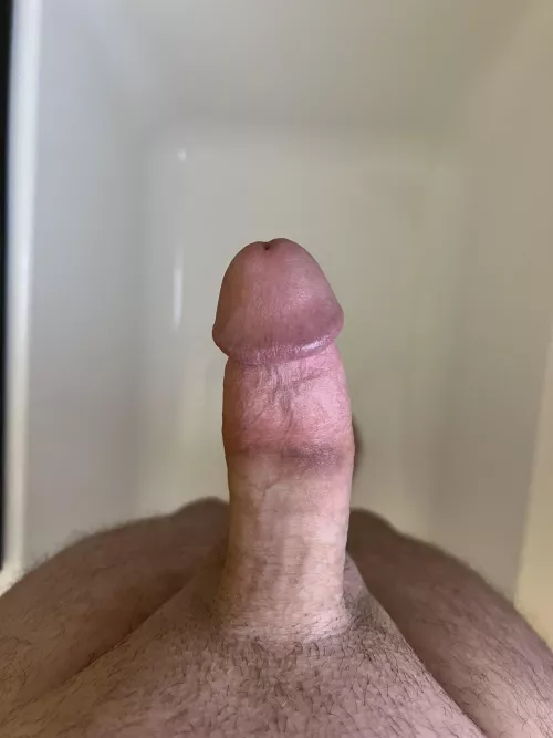 Let’s see how much you can take down your throat before your wife and I get started