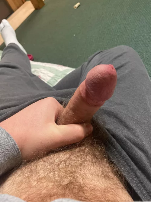 Looking for a hairy guy to cum with.