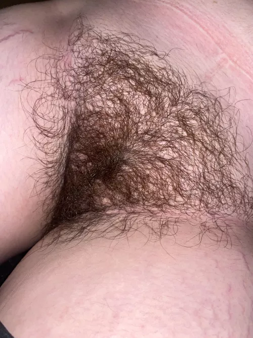 Need a man who can actually handle this bush…👀