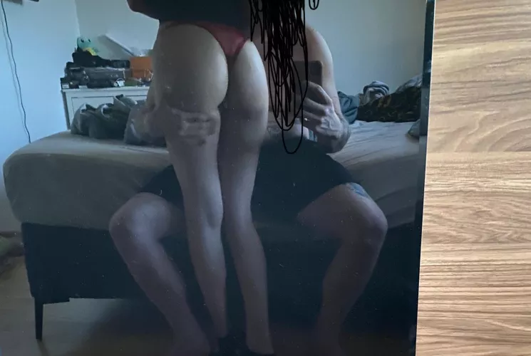 Searching bull for my gf