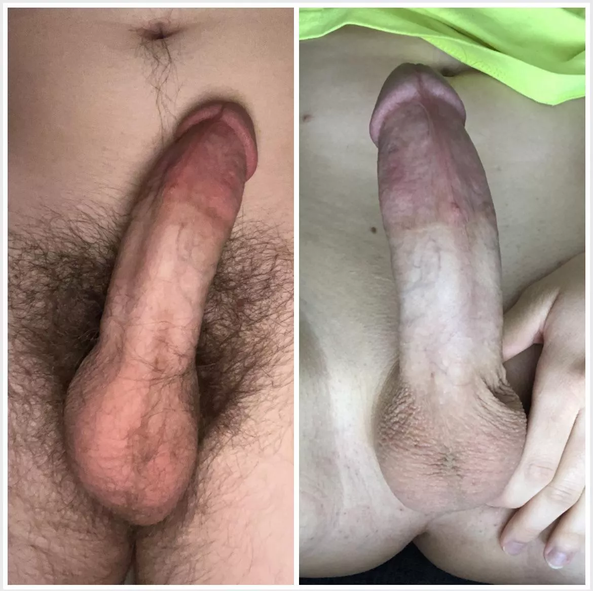 Shaved or unshaved?