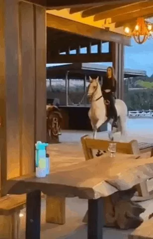 the human or the horse?🤔