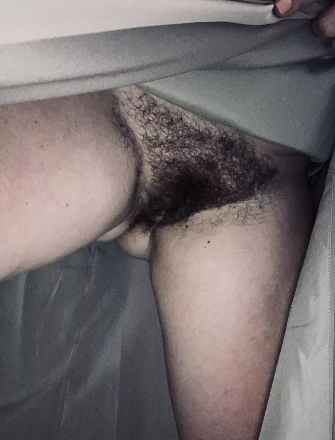 When is the last time you tried a married mom bush