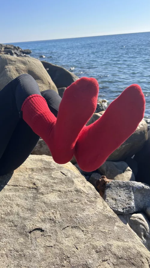 Who comes to the sea?