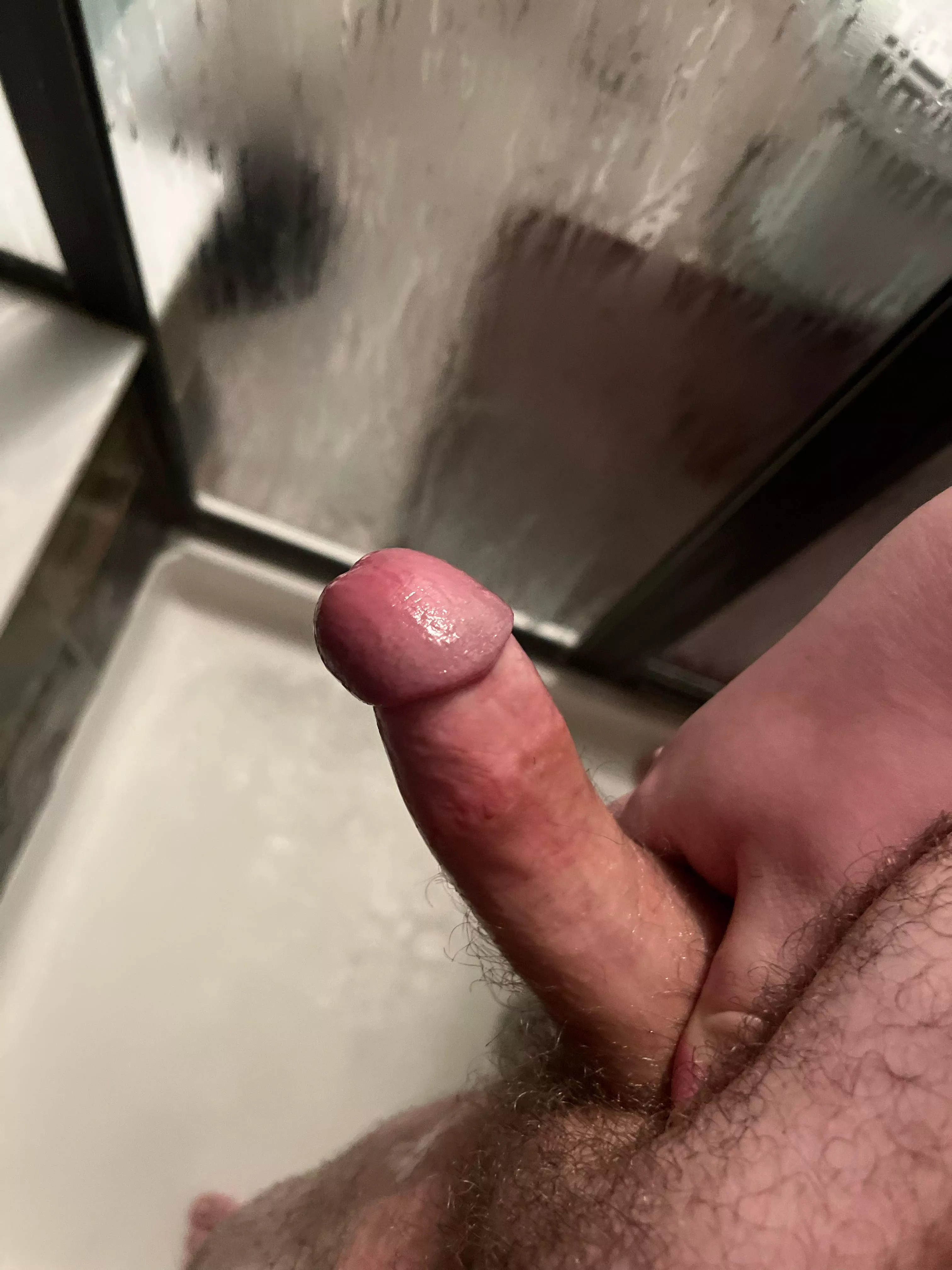 19 m chub, anyone welcomed, snap: ryan-sbdky