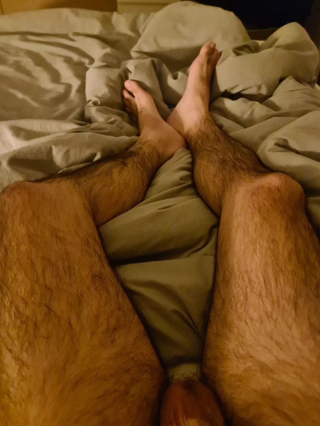32M. DM me if you like hairy.